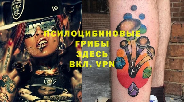 индика Алзамай