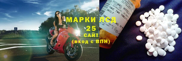индика Алзамай