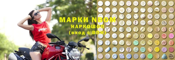 индика Алзамай
