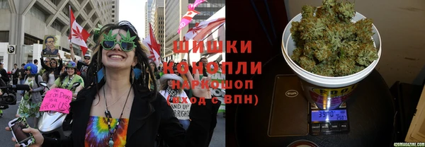 индика Алзамай
