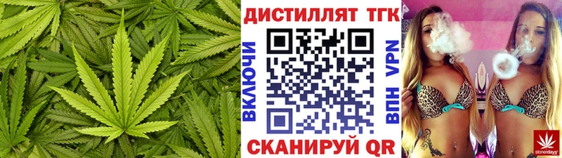 кракен зеркало Новая Ладога ТГК Wax
