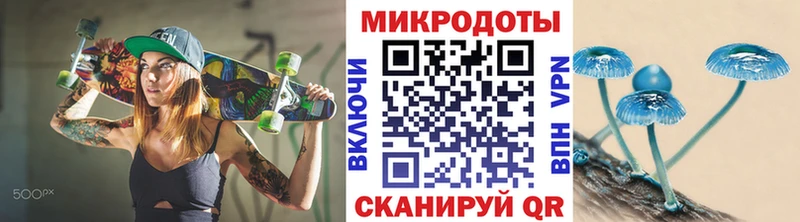 Галлюциногенные грибы Cubensis  МЕГА как зайти  Новая Ладога 