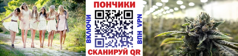 Бошки Шишки Bruce Banner  Новая Ладога 